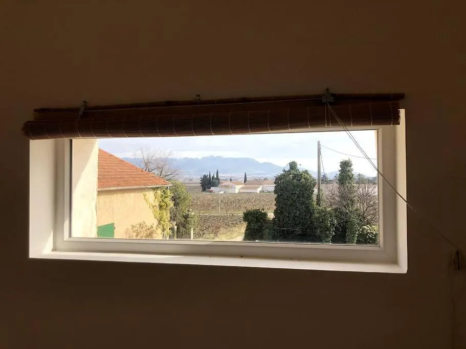 Appartement Au Milieu Des Oliviers Rasteau