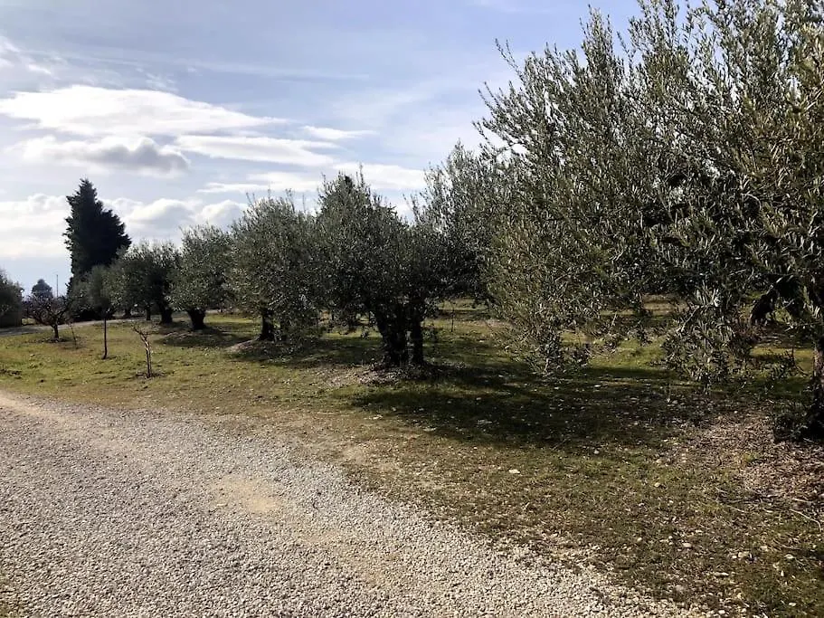 Appartement Au Milieu Des Oliviers Rasteau Γαλλία